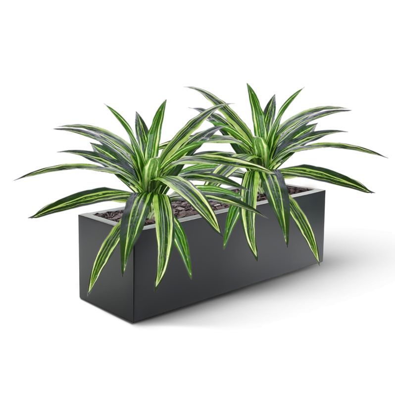 Draceana Massangeana kunstplant 40cm - groen