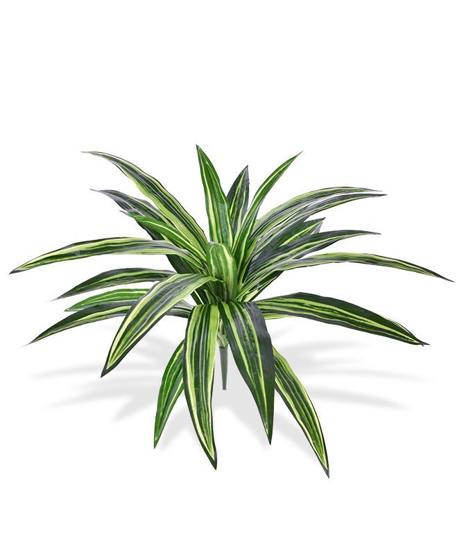 Draceana Massangeana kunstplant 40cm - groen