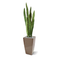 Sanseveria kunstplant 110cm -groen