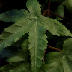 Acer Kunst Bonsai 50cm groen