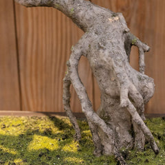 Acer Kunst Bonsai 50cm groen