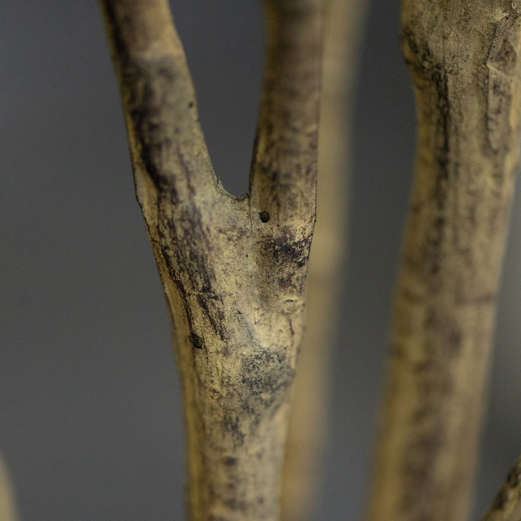 Draceana Reflexa Kunstplant groen 120cm RT