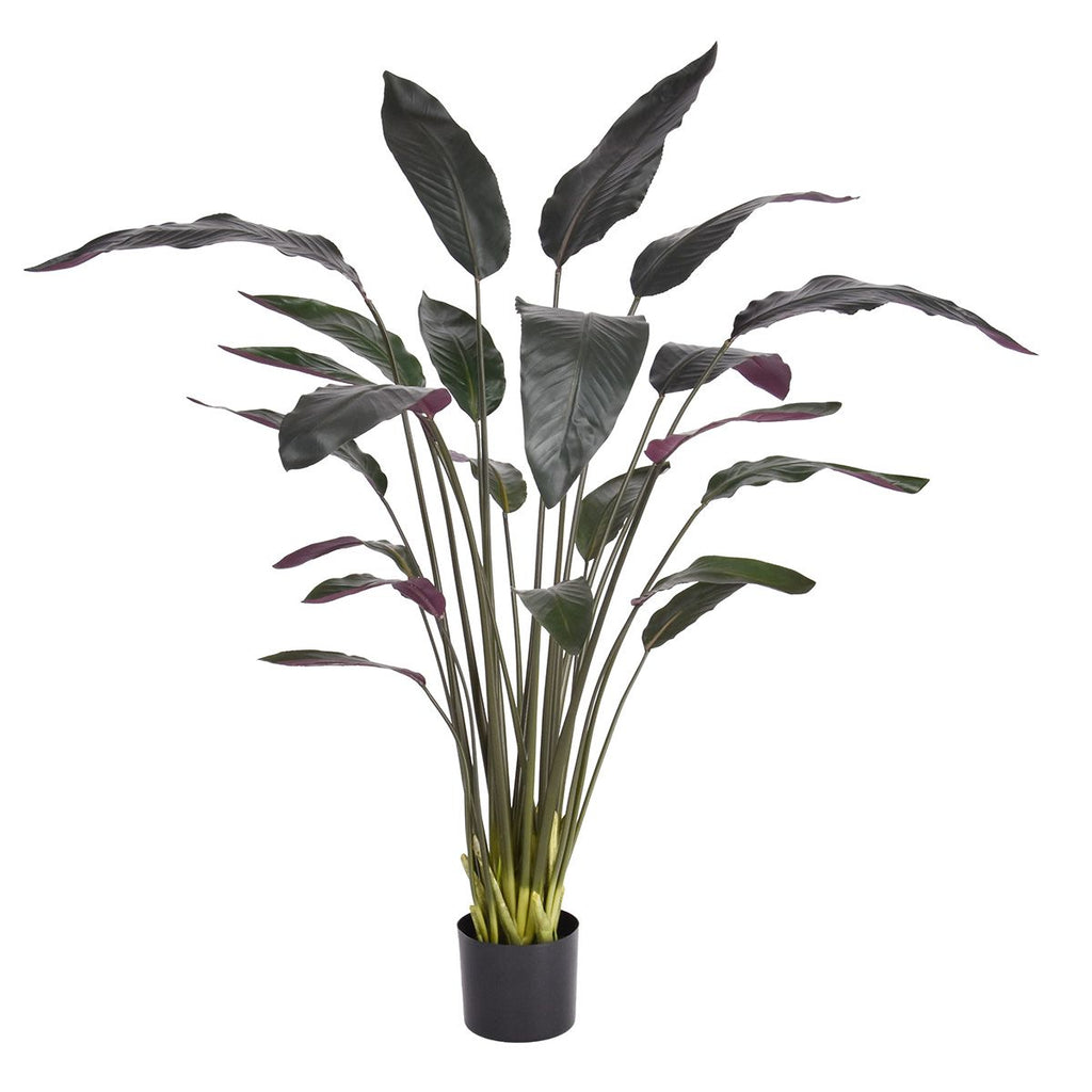 Red Calathea Luthea Kunstplant 140cm