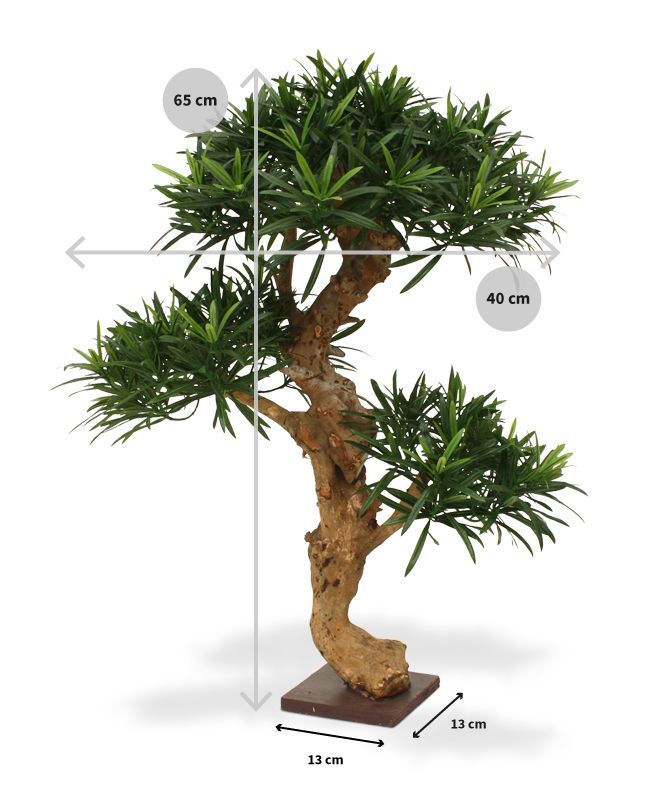 Podocarpus kunstbonsai boom deluxe op voet 65cm