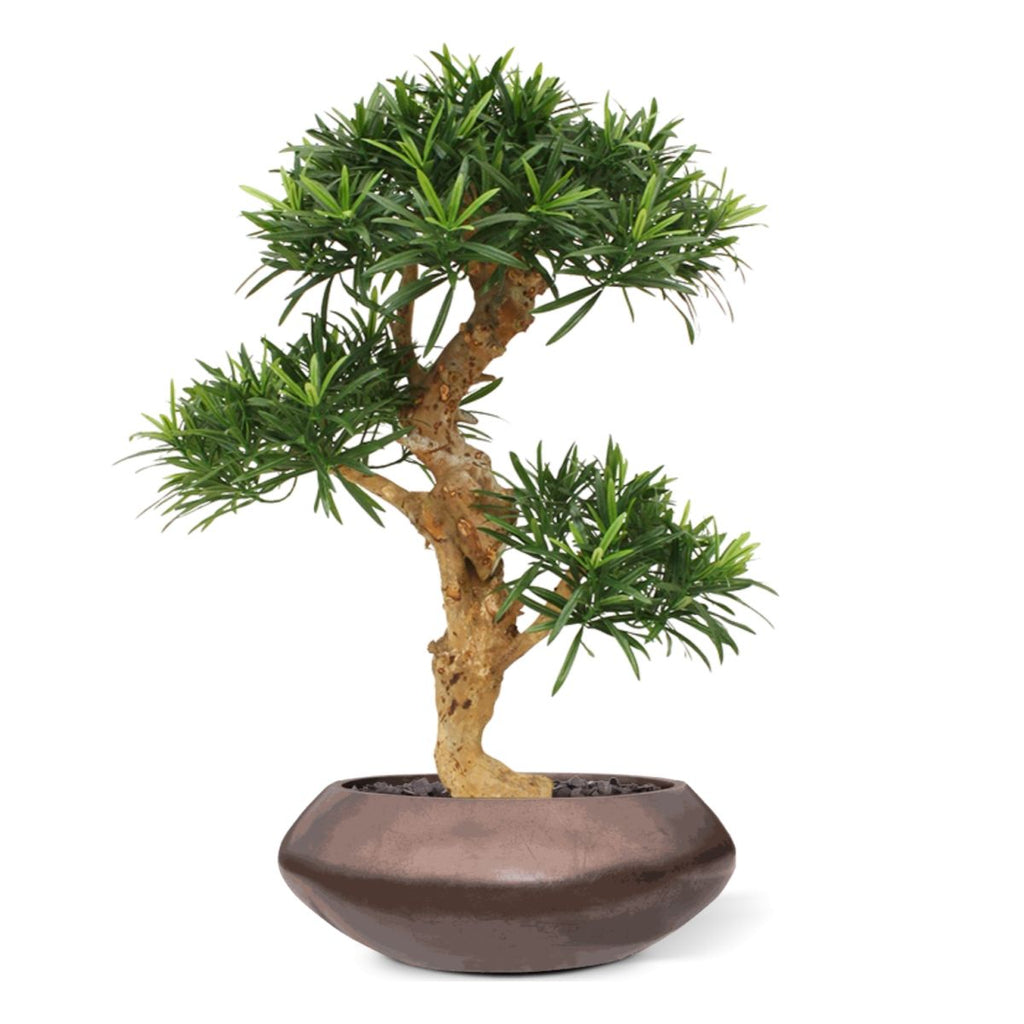 Podocarpus kunstbonsai boom deluxe op voet 65cm