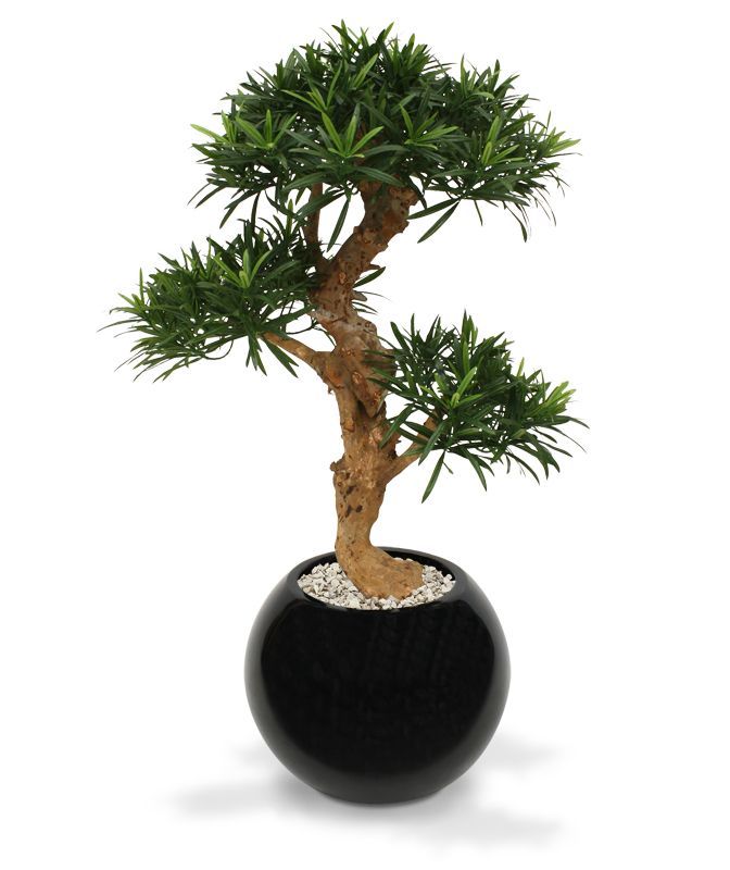Podocarpus kunstbonsai boom deluxe op voet 65cm