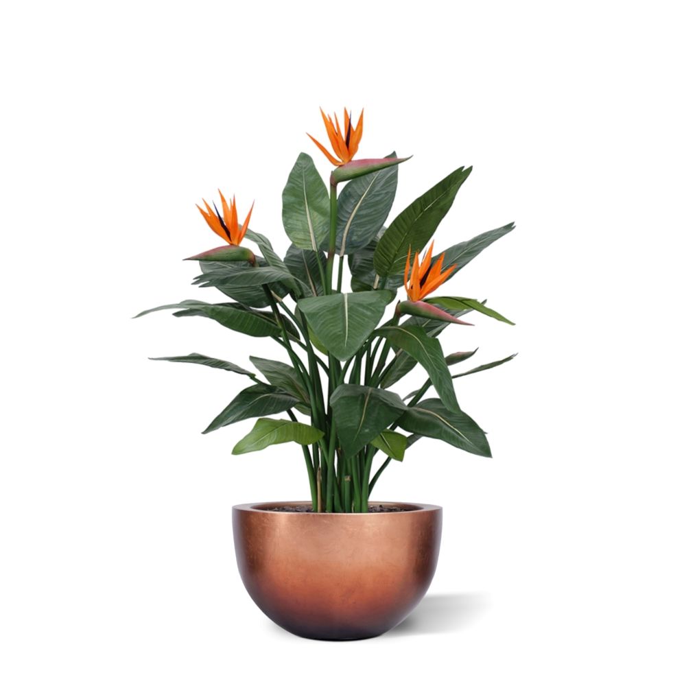 Strelitzia kunstplant deluxe 115cm