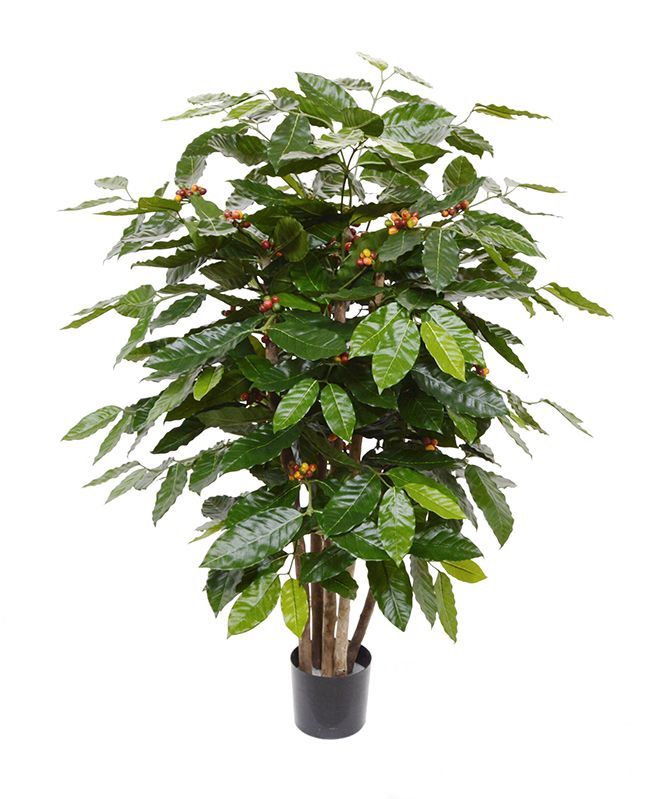 Coffee Arabica kunstplant 100cm