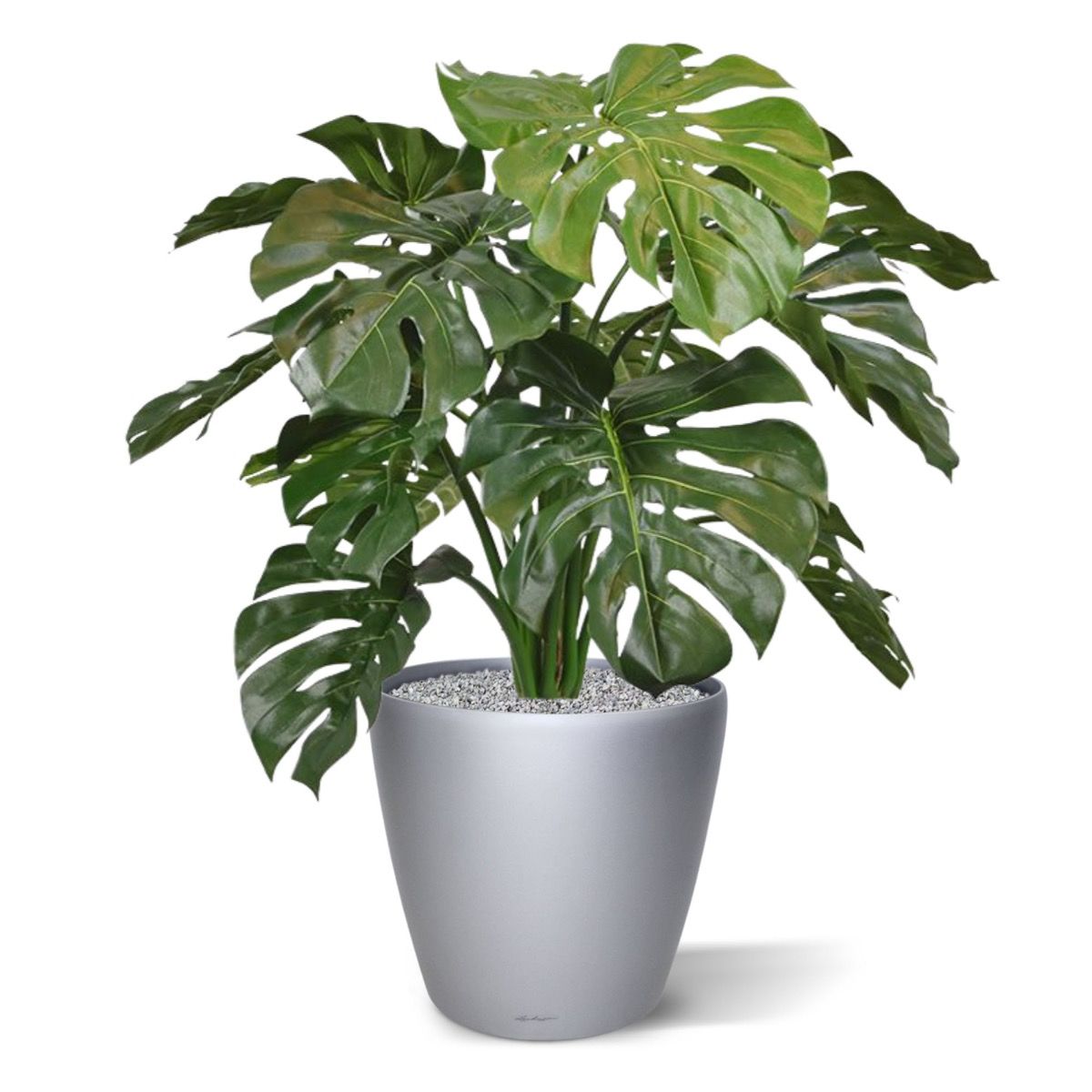 Monstera deluxe kunstplant 75cm
