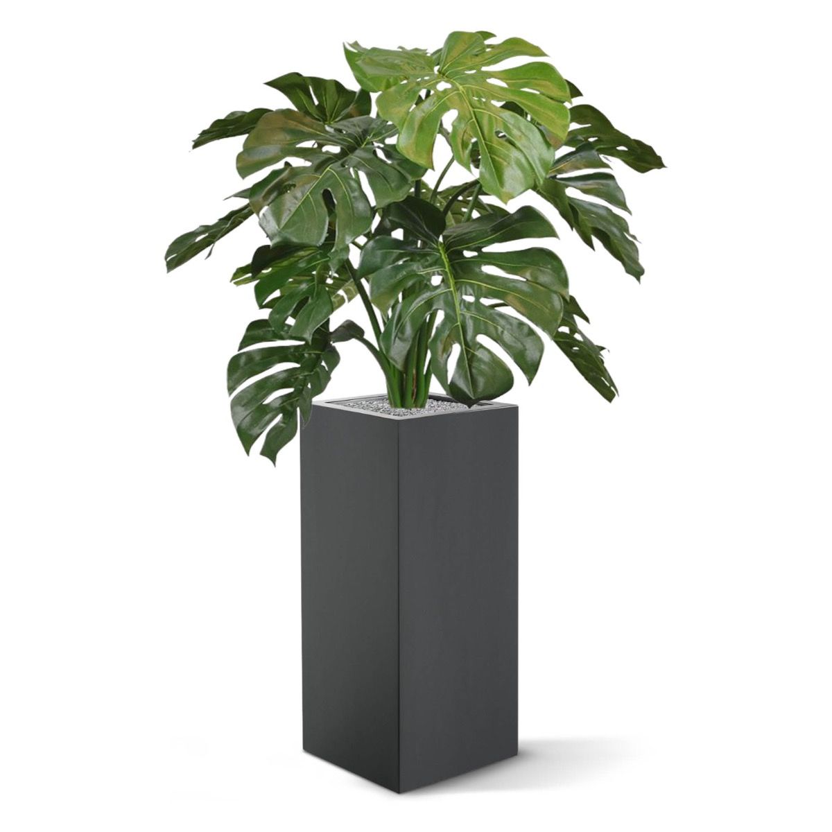 Monstera deluxe kunstplant 75cm