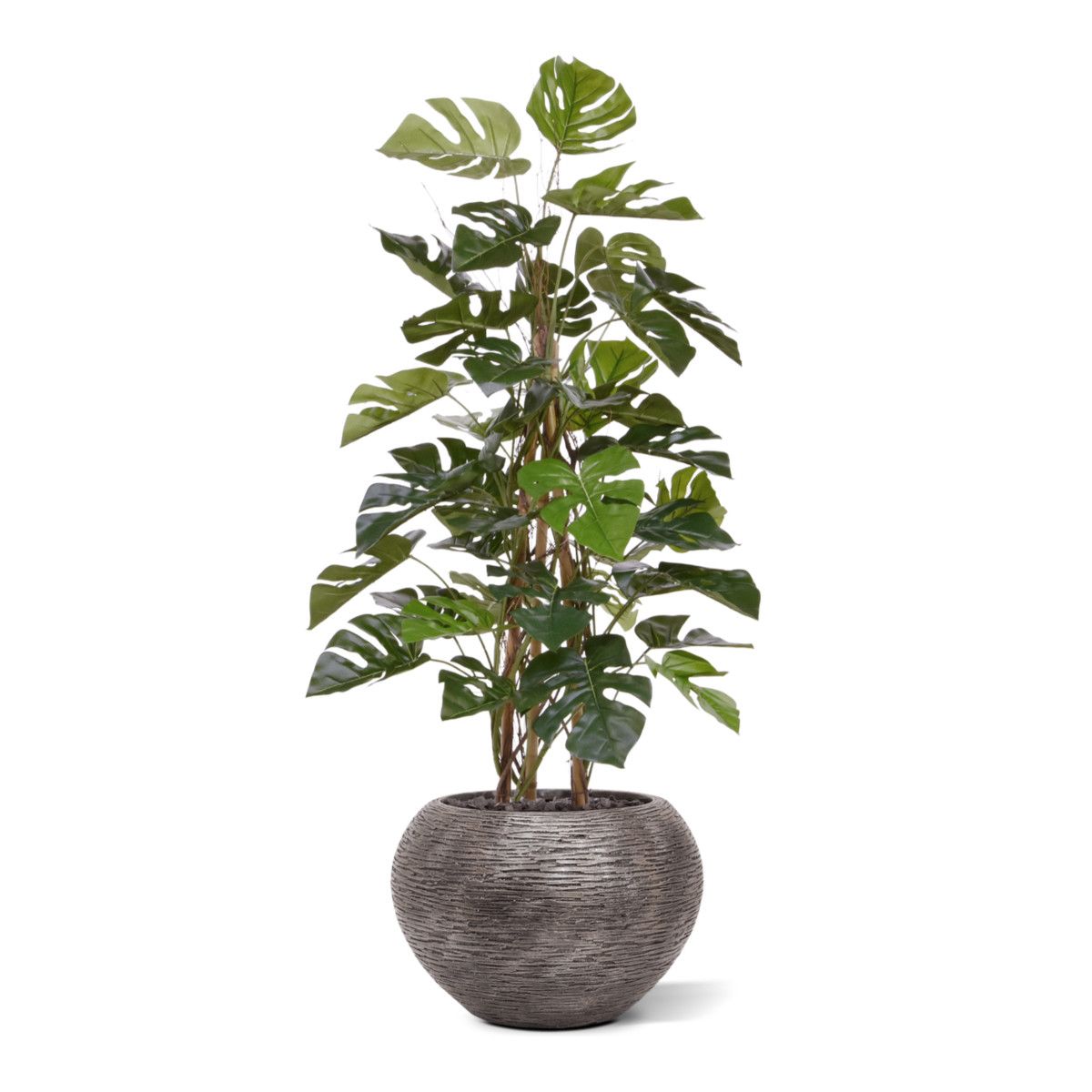 Monstera kunstplant Deluxe klimplant 120cm