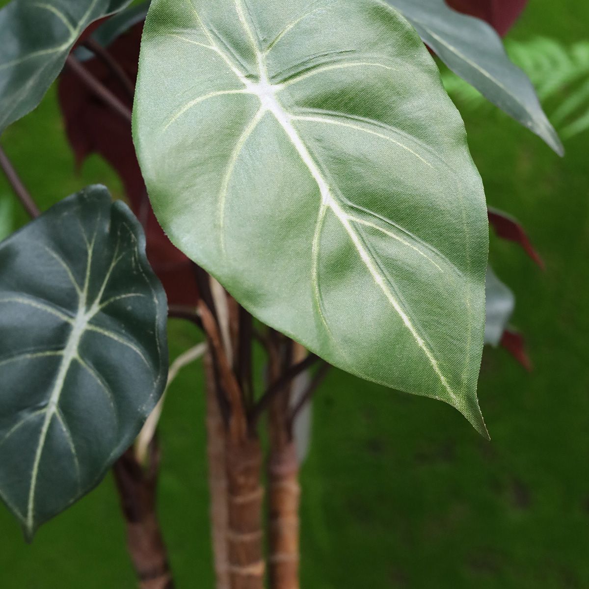 Syngonium kunstplant op hout 60cm
