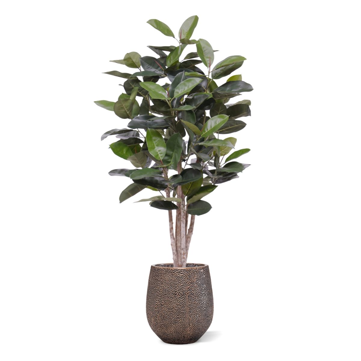 Elastica Robusta kunstplant 170cm groen