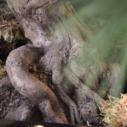 Art outdoor Bonsai tree 60 cm UV with 3 levels UV protected