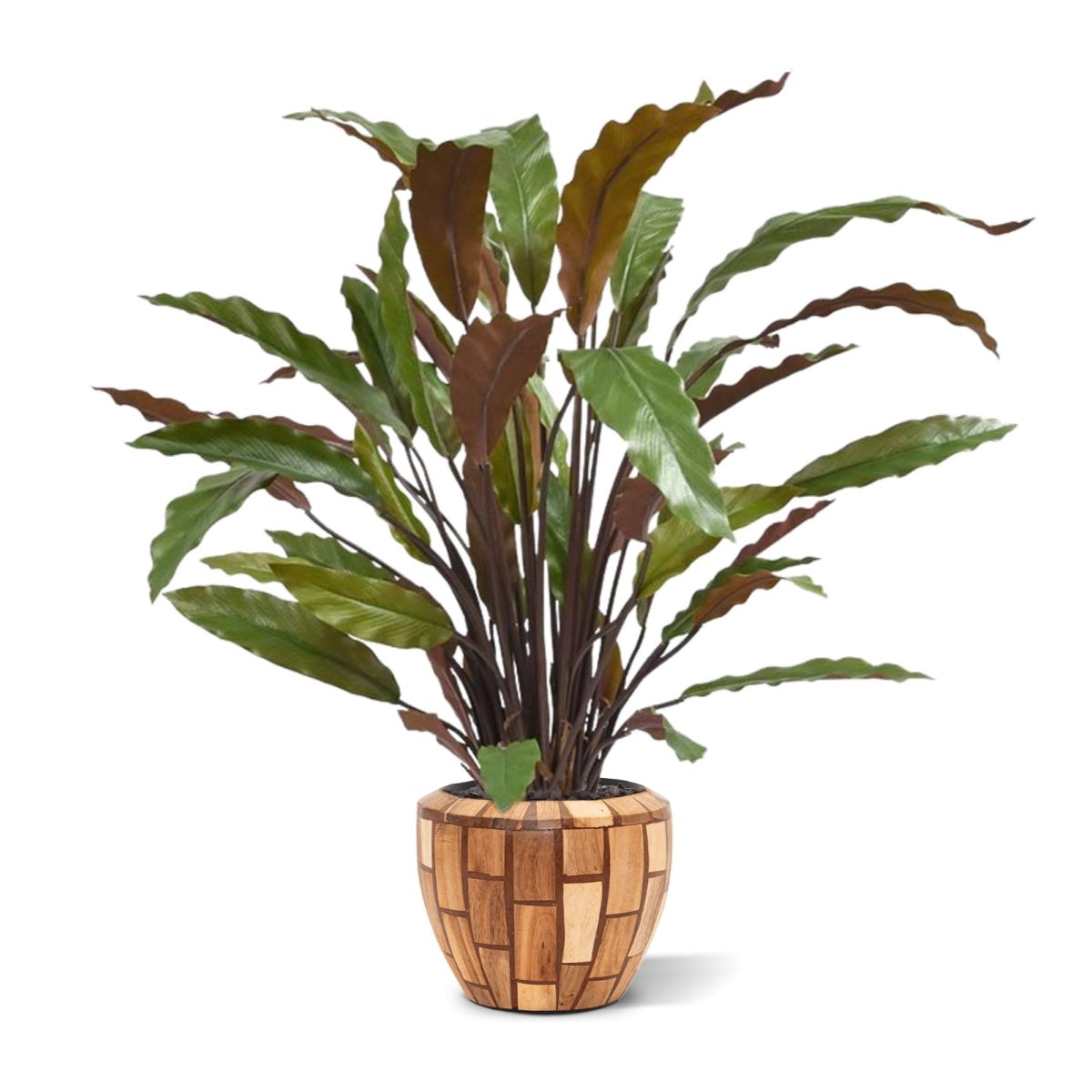 Calathea Red kunstplant 60cm