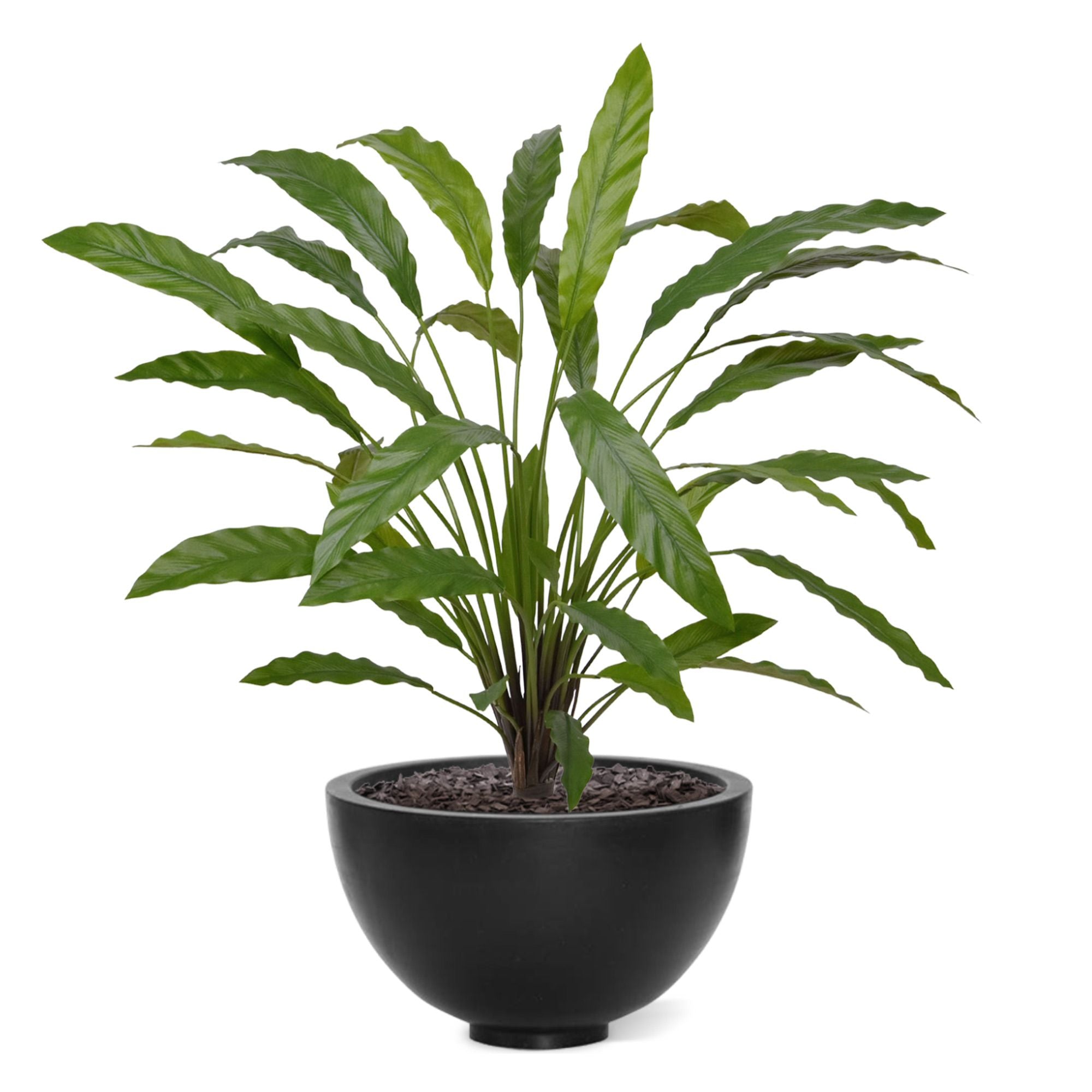 Calathea 75cm Kunstplant groen