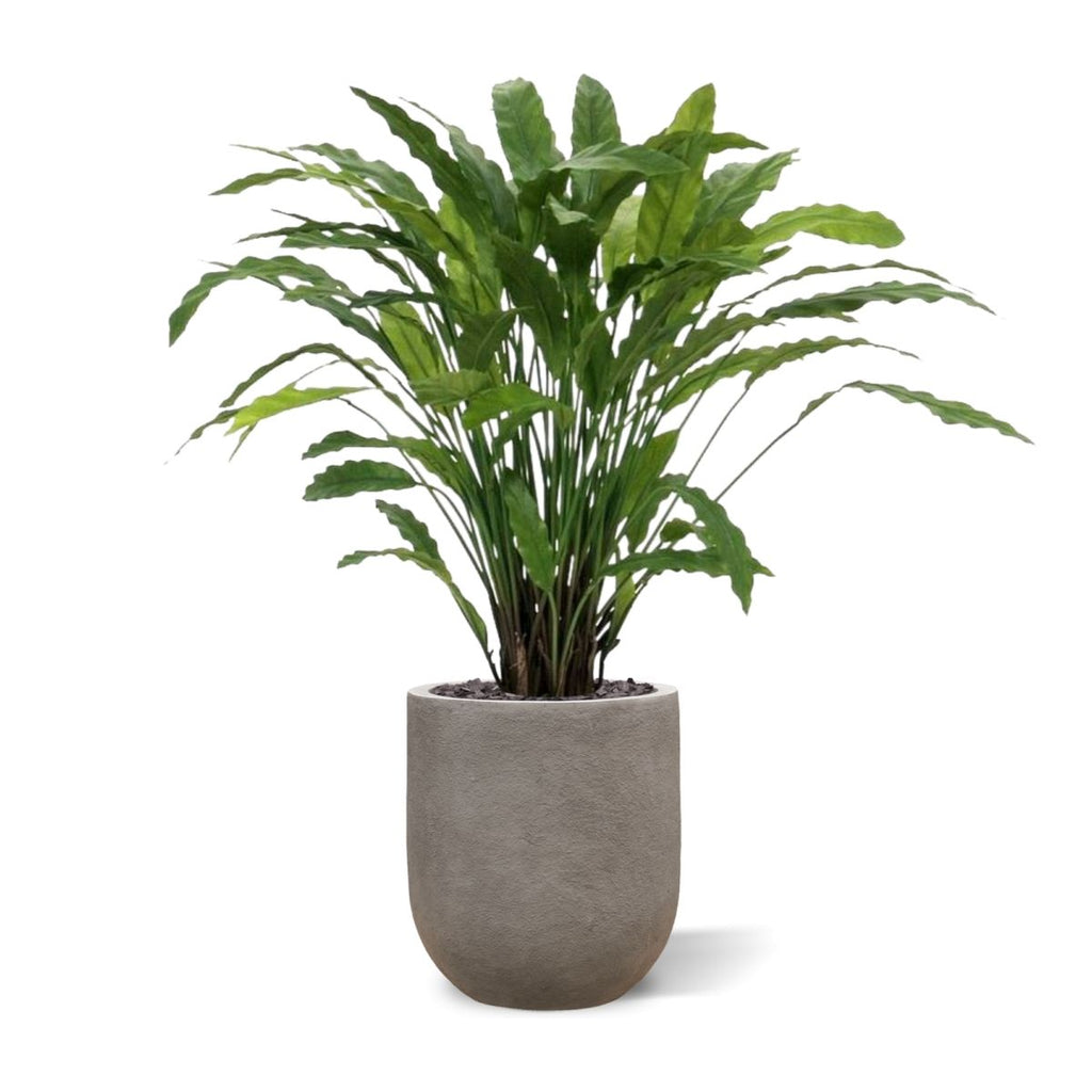 Calathea kunstplant 85cm - groen