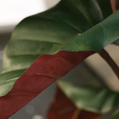 Philodendron kunstplant Deluxe 80cm Burgundy