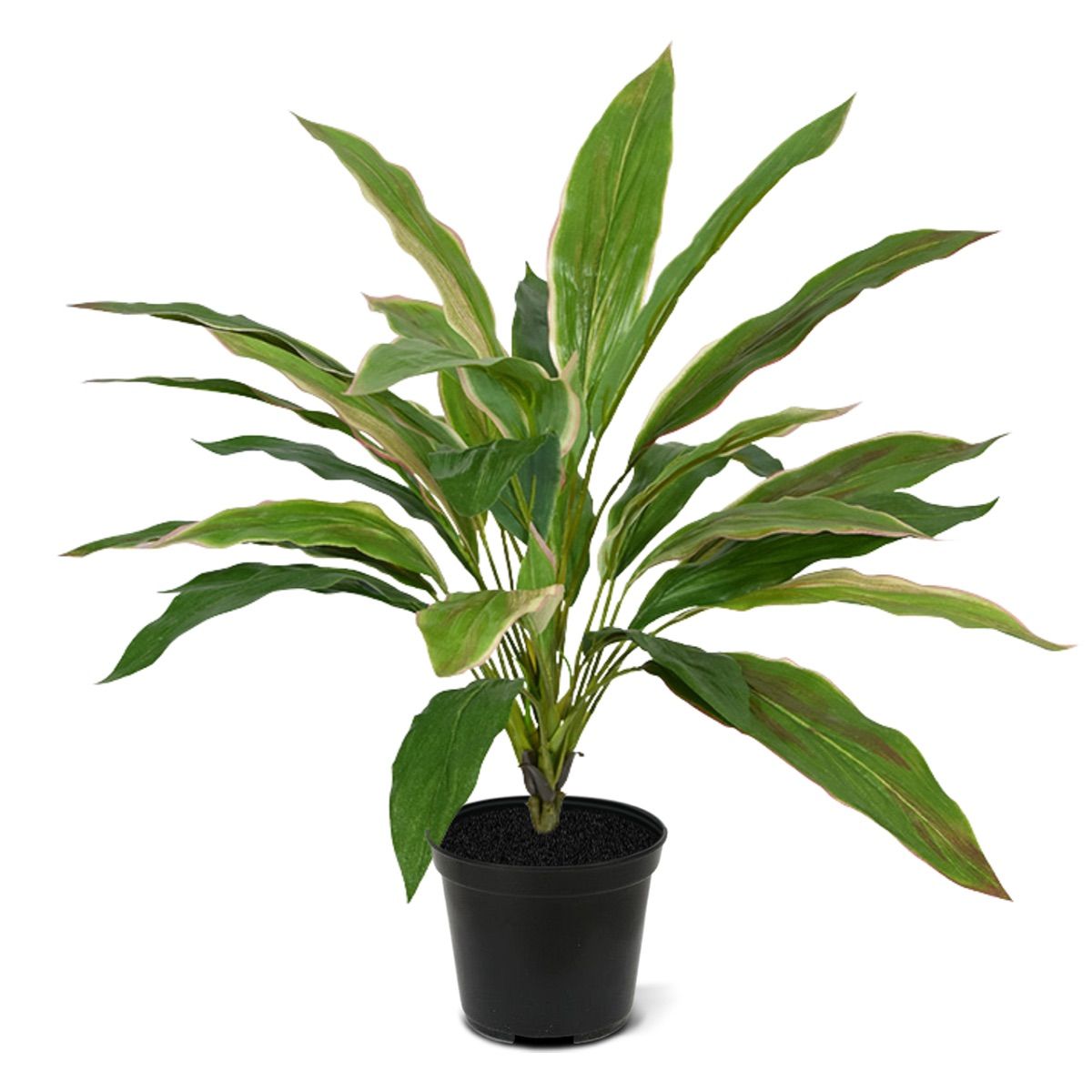 Draceana kunstboeket 40 cm NT  met kweekpotje