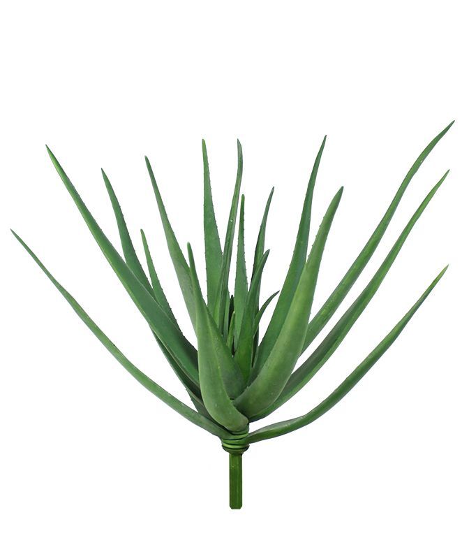 Aloë deluxe kunstplant 60cm