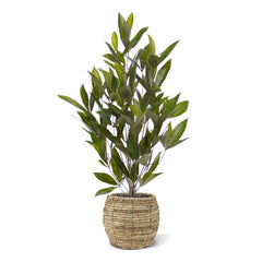 Draceana Surculosa kunstplant 70cm