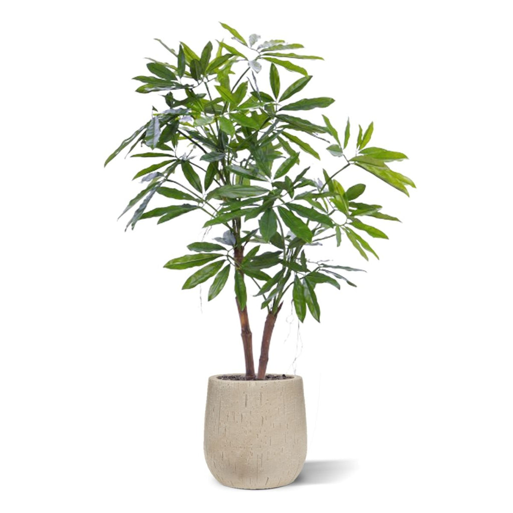 Philodendron Fun Bun Kunstplant 155cm