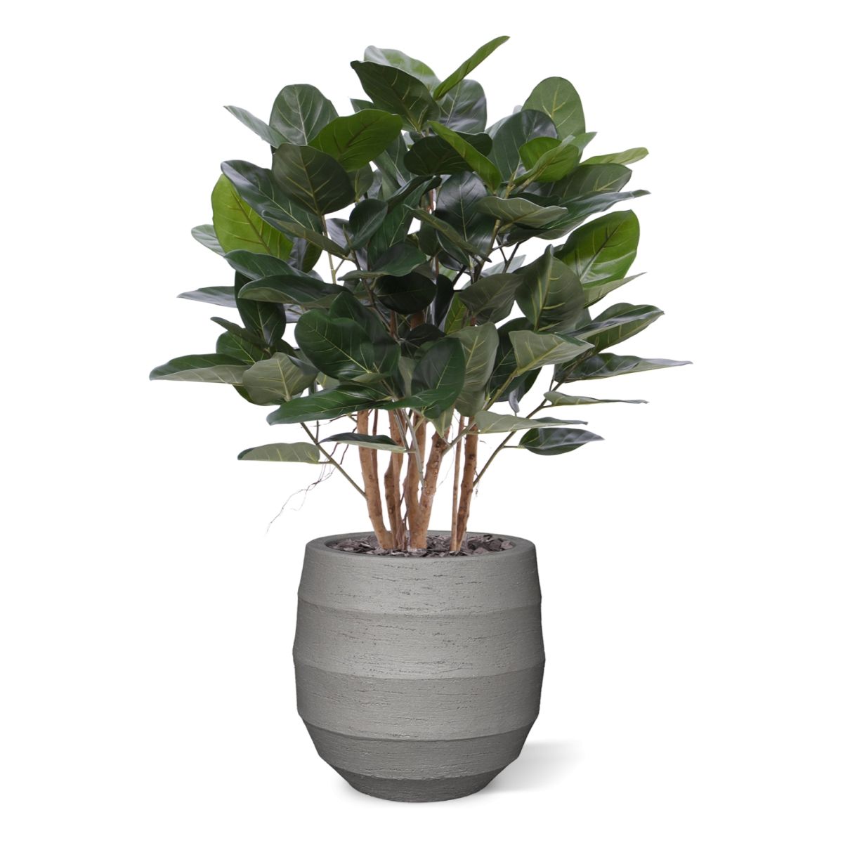Ficus Audrey kunstplant 100cm