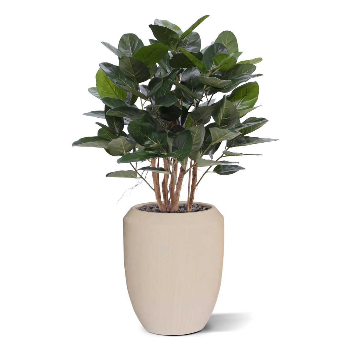 Ficus Audrey kunstplant 100cm