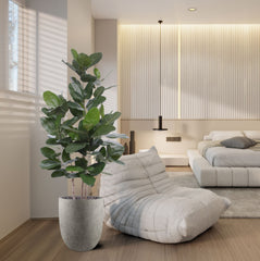 Ficus Audrey kunstplant 160cm