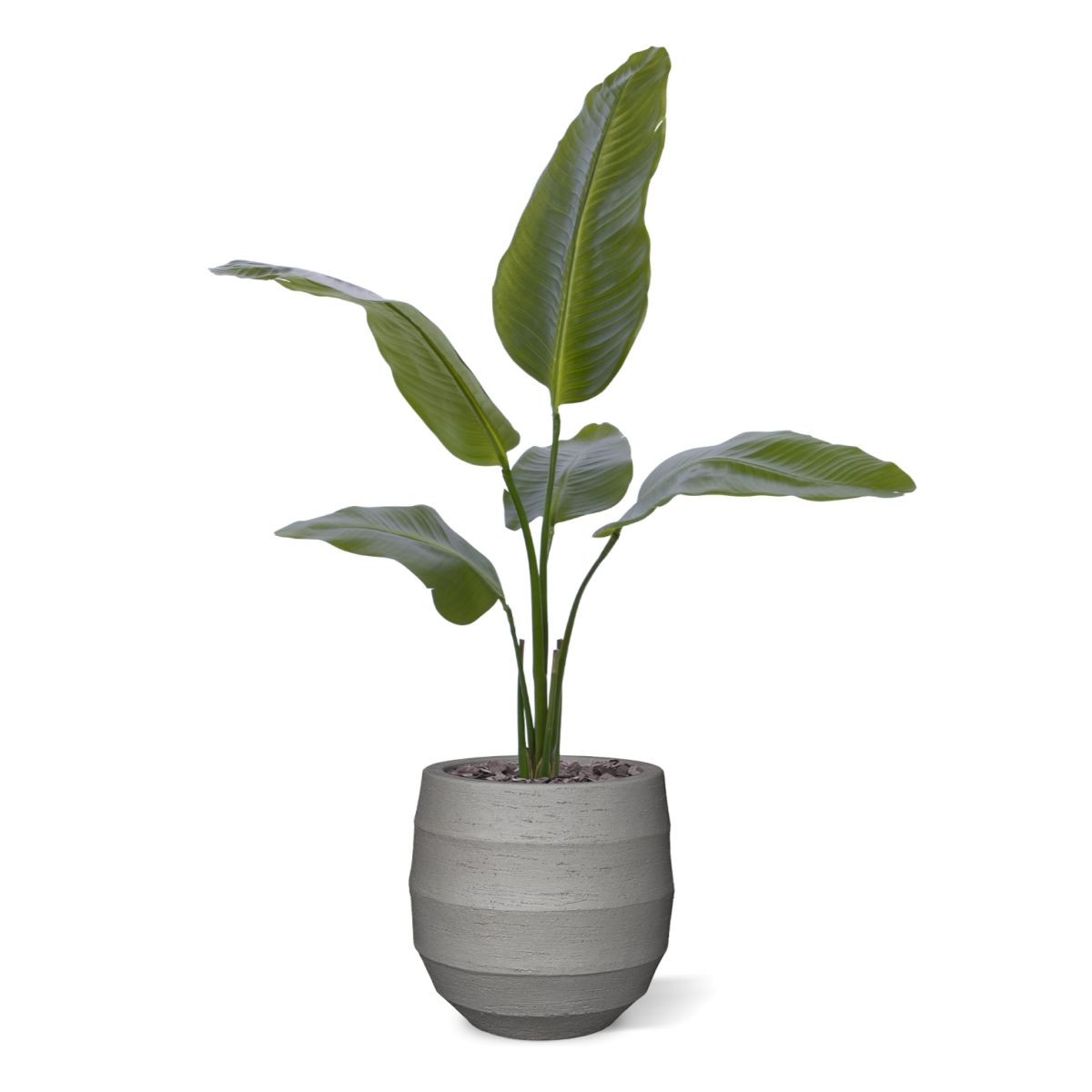 Strelitzia Nicolai kunstplant 90cm