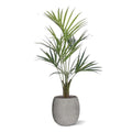Kentia deluxe kunstpalm 135cm