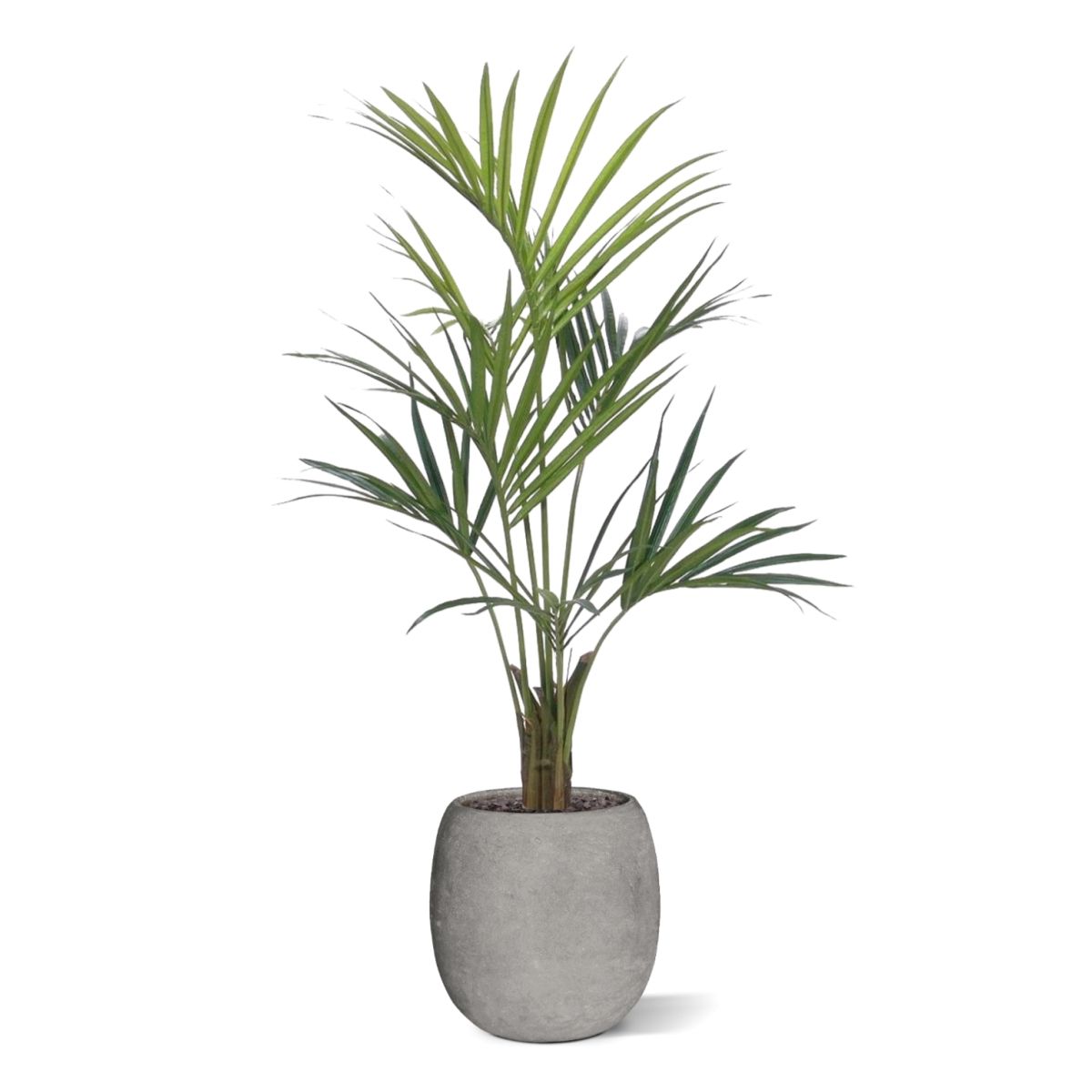 Kentia deluxe kunstpalm 135cm