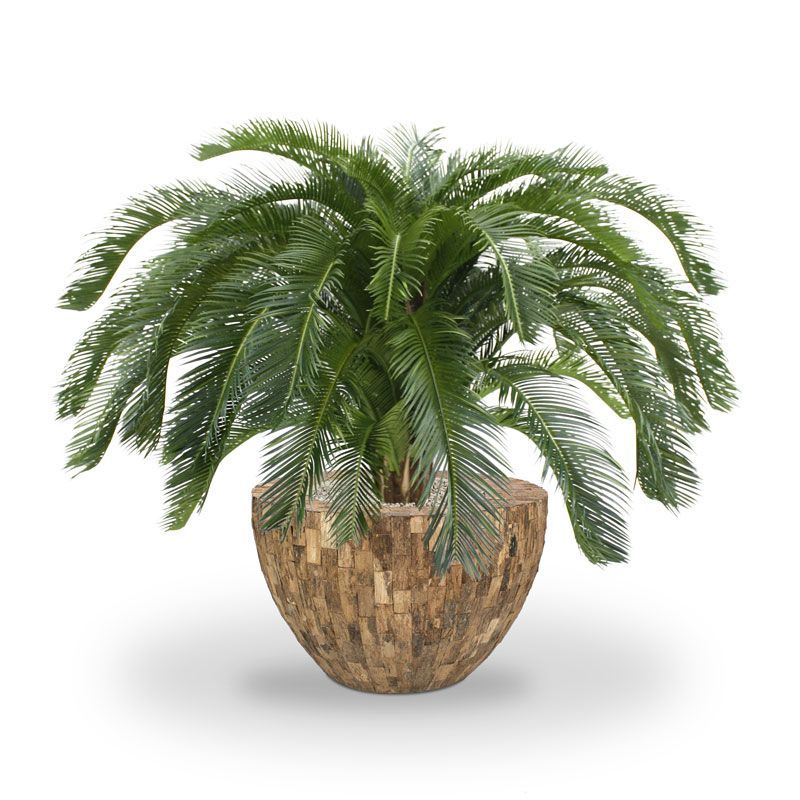 Cycas deluxe kunstpalm 125cm