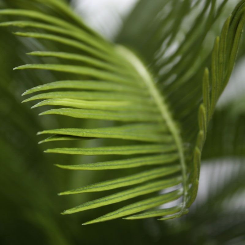 Cycas Baby kunstpalm 45cm - N