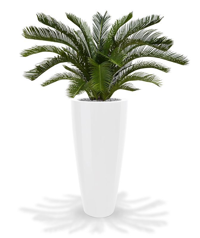 Cycas deluxe kunstpalm M 80cm