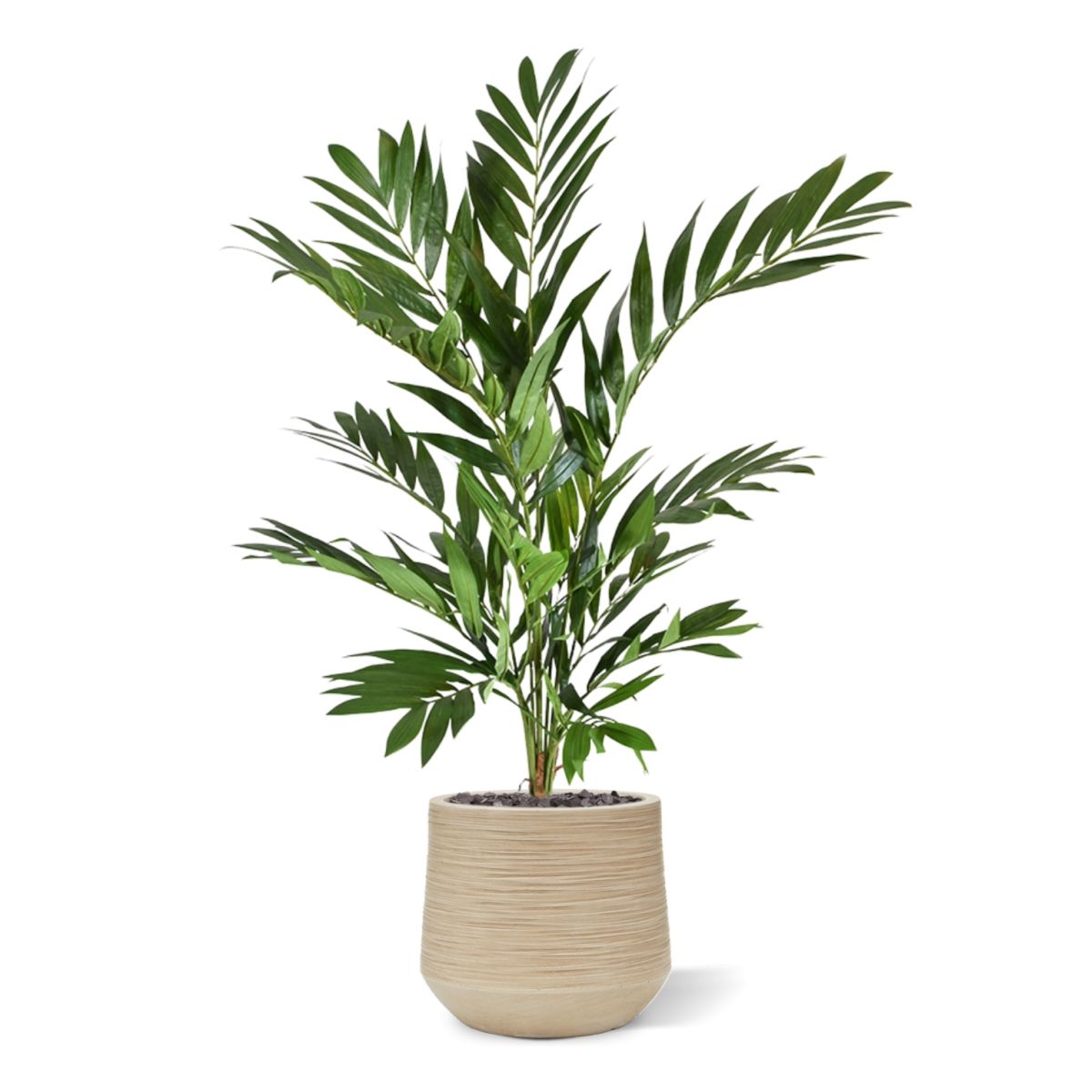 Parlour kunstpalm deluxe 90cm
