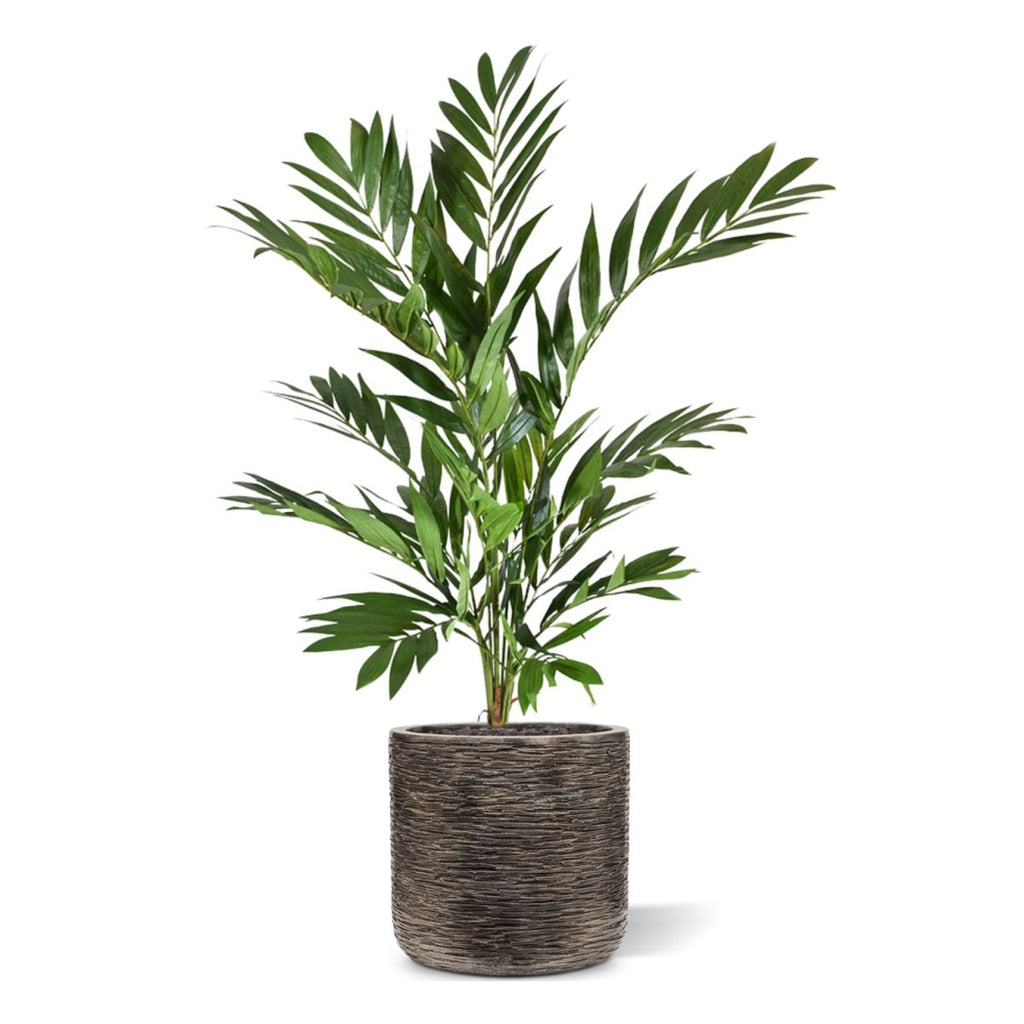 Parlour kunstpalm deluxe 90cm