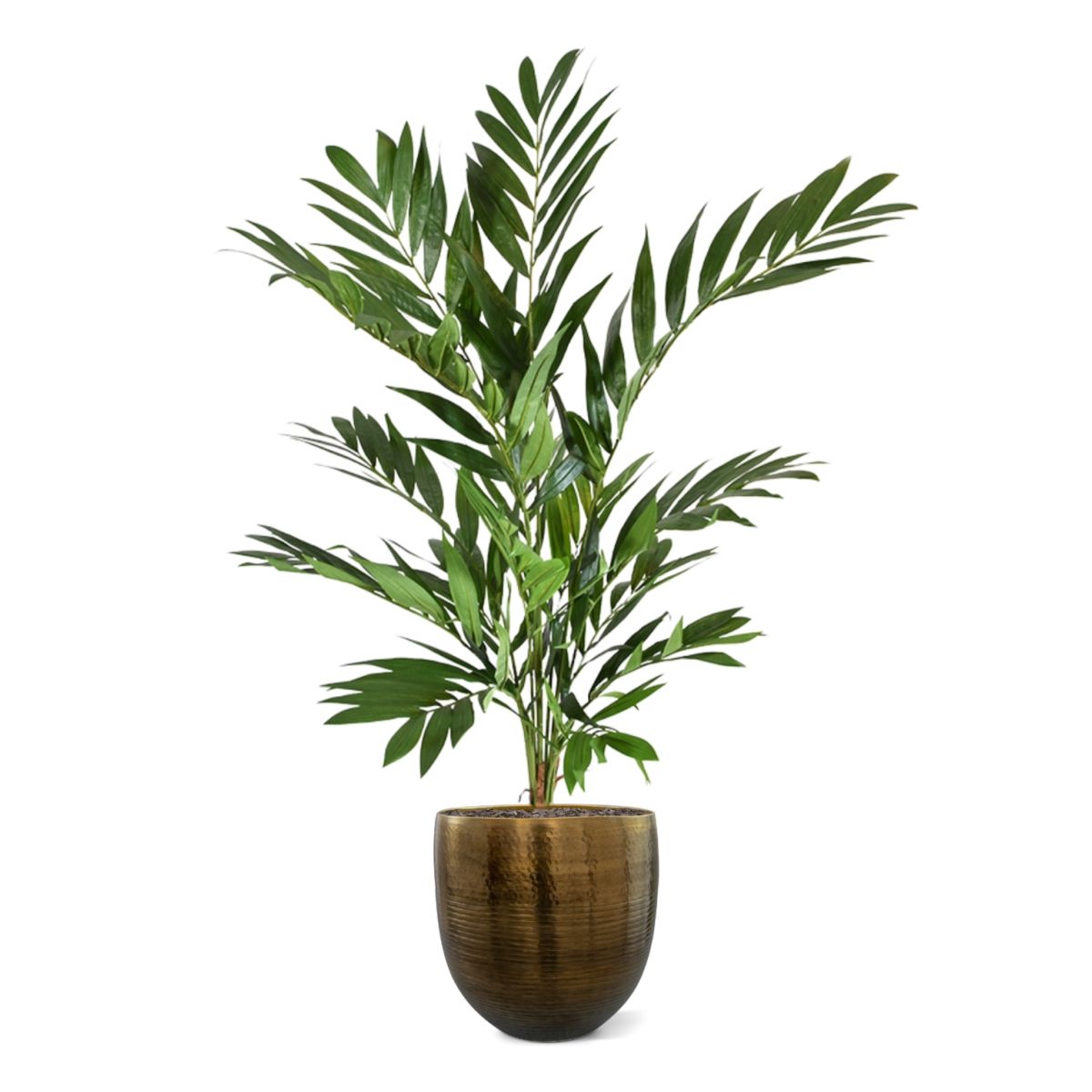 Parlour kunstpalm deluxe 90cm