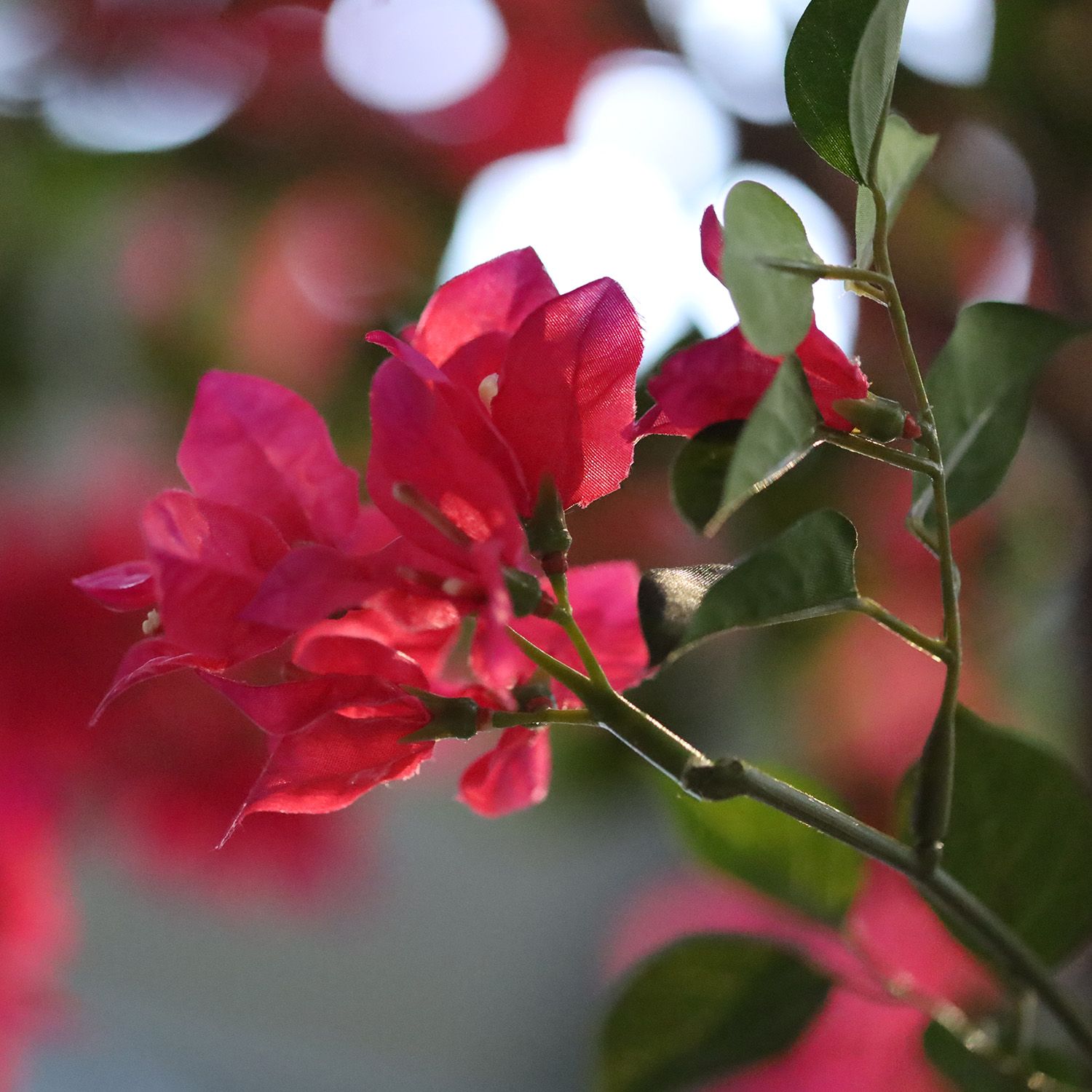Bougainvillea Kunstboom Deluxe 300cm Cerise