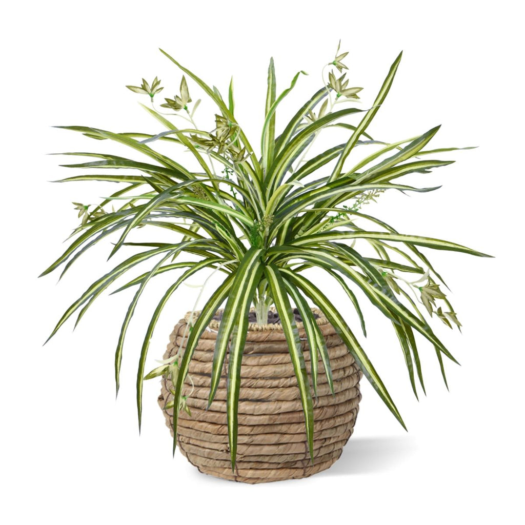 Chlorophytum RT kunst hangplant 45cm