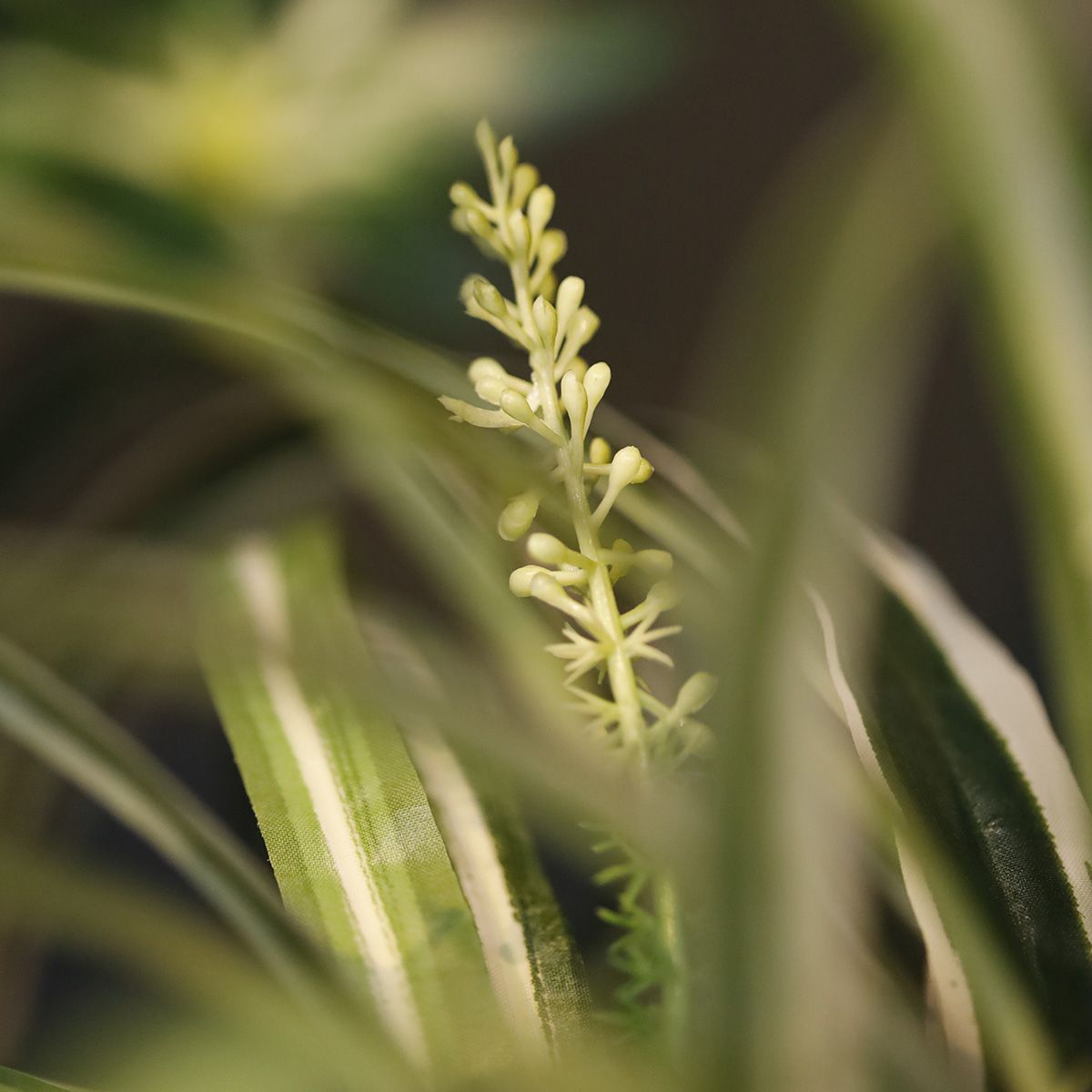 Chlorophytum Kunsthangplant 50cm