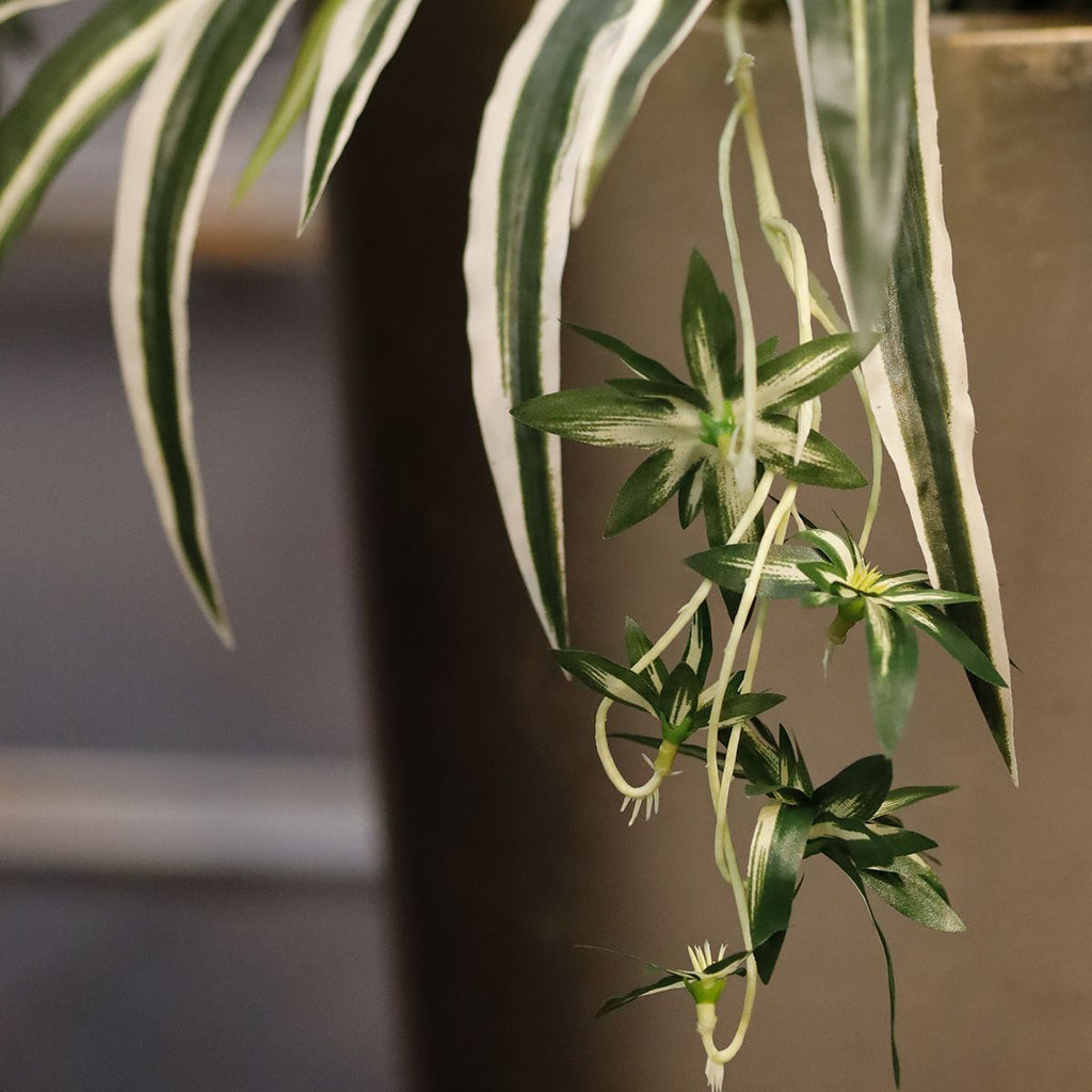 Chlorophytum Kunsthangplant 50cm