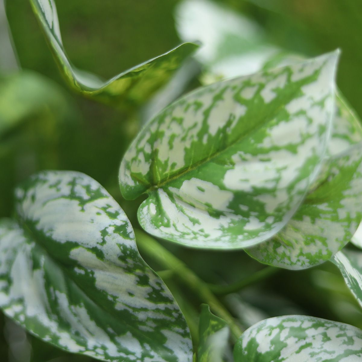 Scindapsus Pictus kunst hangplant Deluxe 50cm