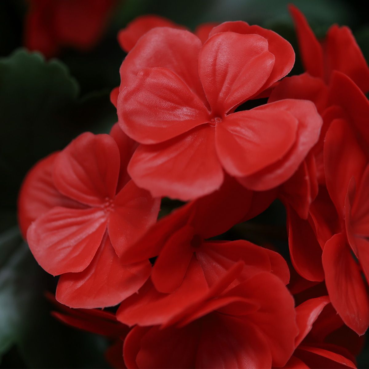 Kunstmatige hangende geranium voor buiten, 65 cm, UV-rood