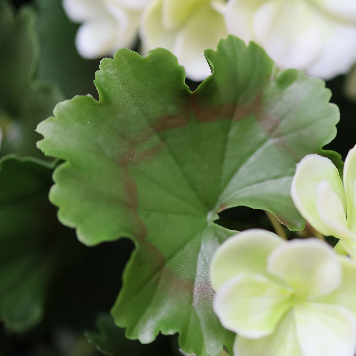 Outdoor art geranium 65cm UV white