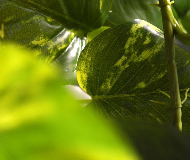 Scindapsus kunst hangplant 75cm - groen