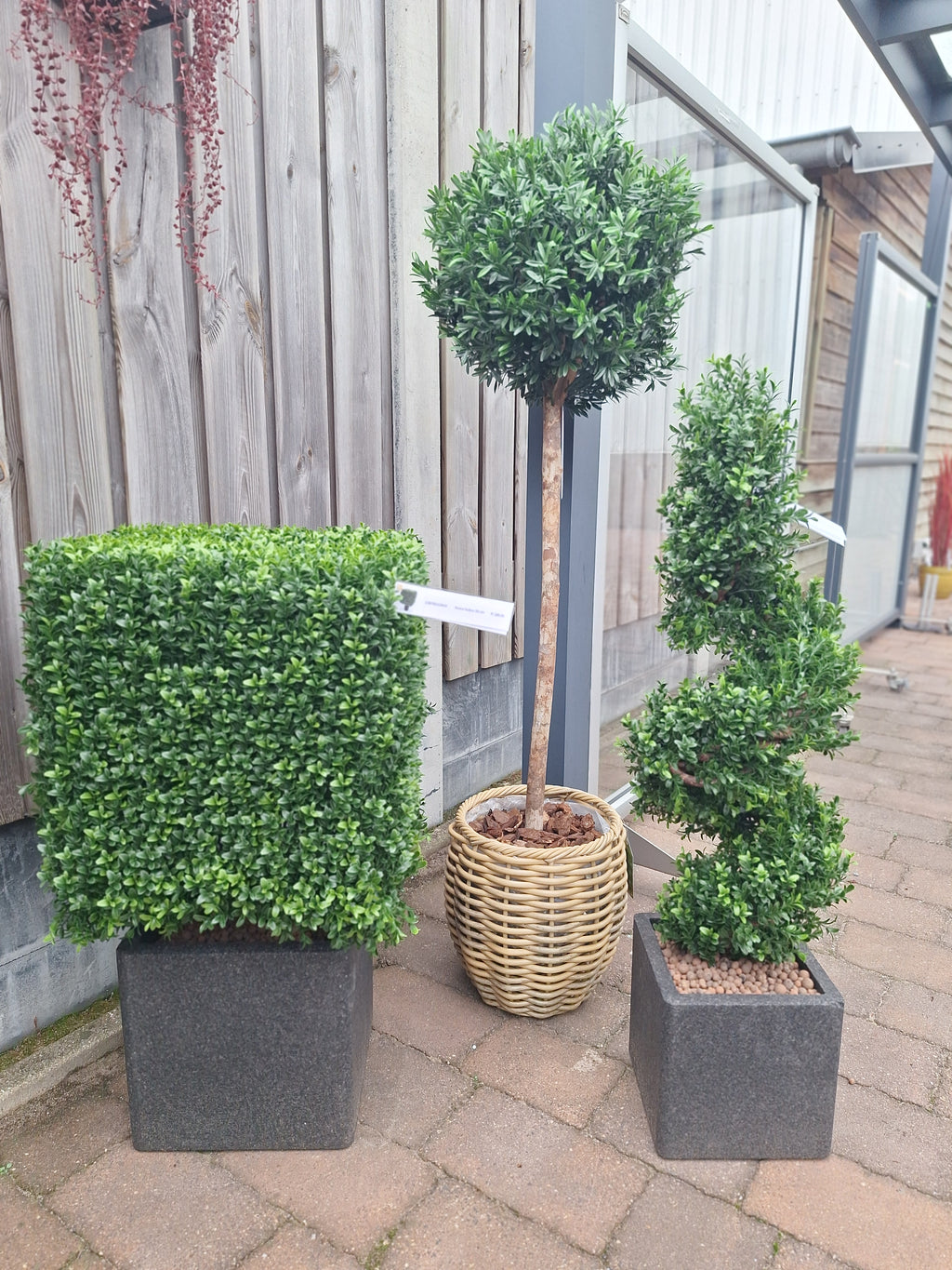 Buitenkunst Buxus Kubus 40 cm UV-beschermd
