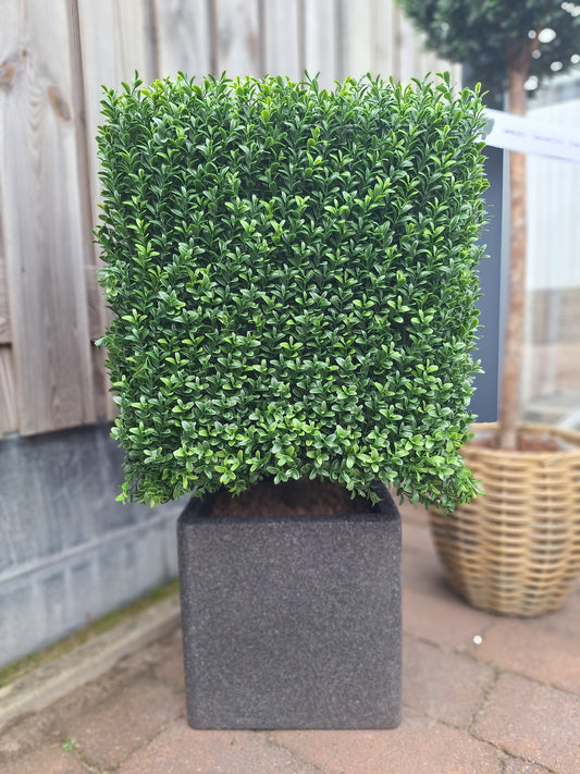 Artificial outdoor Boxwood square 50 cm UV protection