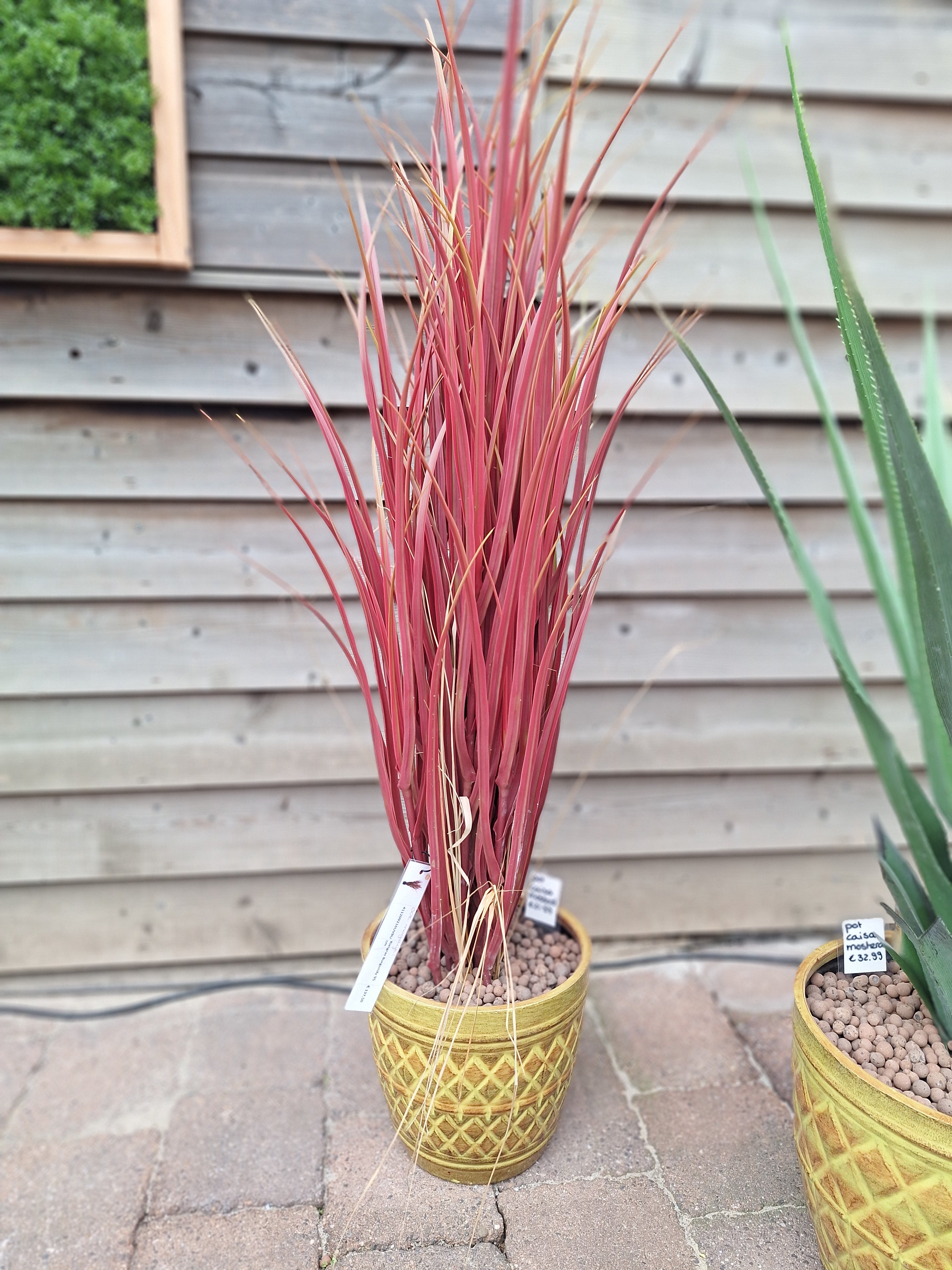 Siergras, rood gras, 120 cm, UV-bestendig.
