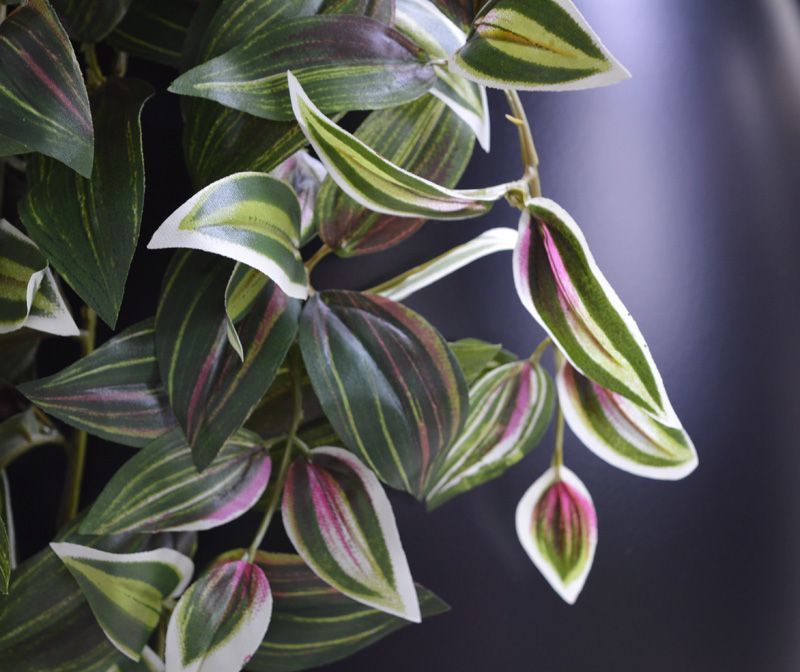 Tradescantia kunst hangplant 100cm - bont